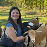 valerie.sorto profile picture