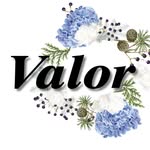 valorgin profile picture
