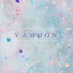 vamoon_shop profile picture