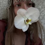 vandalen profile picture