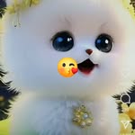 vandanakumarivandana94 profile picture