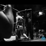 vanesarico_mma profile picture