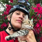 vanniacola profile picture