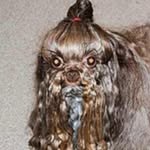 vaquera.nyc profile picture