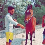 varungurjar06 profile picture