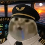 vasco._prv profile picture