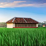 vazhalikkavu_bagavathy_temple profile picture