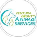 vcanimalservices profile picture