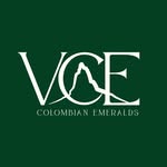 vce_gems profile picture