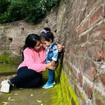 veena.balan profile picture