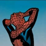 veiledplanet profile picture