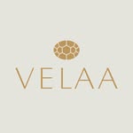 velaaprivateisland profile picture