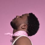 velous profile picture