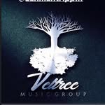 veltreemusicgroup profile picture