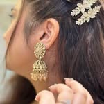 velvet.vortex11 profile picture