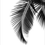 venedictaswimwear profile picture