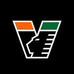 veneziafcfemminile profile picture