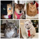 venusandfamily profile picture