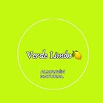 verdelimonss profile picture