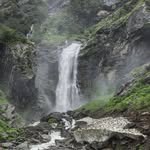 verfied_vishal profile picture