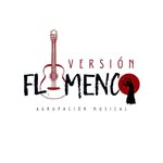 versionflamenco profile picture