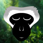 vervet_forest profile picture