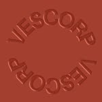 ves.corp profile picture