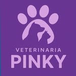 veterinariapinky profile picture