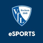vfl1848esports profile picture