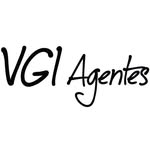 vgi.agentes profile picture