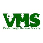 vhslifesaver profile picture