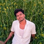 vi__ku_2.0 profile picture