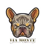via_monte_frenchies profile picture