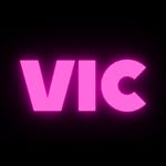 vic.theseries profile picture
