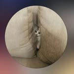 vicky_patil___________ profile picture