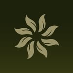 vidanta profile picture