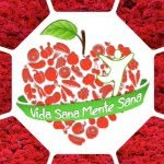vidasanamentesana profile picture