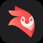videoleap_by_lightricks profile picture