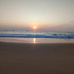 vijay_64800 profile picture