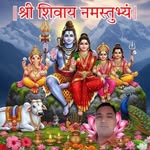 vijaykumarsabhajit profile picture