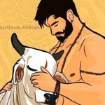 vikash.rajput.1460693 profile picture