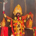 vikash_oxo9 profile picture