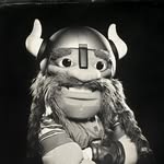 viktortheviking profile picture