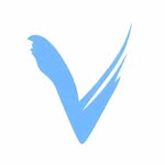villaesqueofficial profile picture