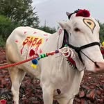vinayak_khamkar_015 profile picture