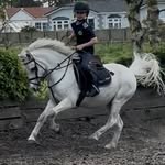 vince_pugs_n_ponies profile picture
