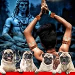 vineetmodest profile picture