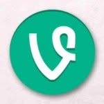 vineplaya profile picture