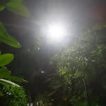 vinroxx12 profile picture