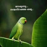 vinukumar1986mv profile picture